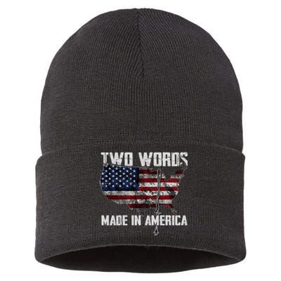 Two Words Made In America Joe Biden Vintage American US Flag Sustainable Knit Beanie