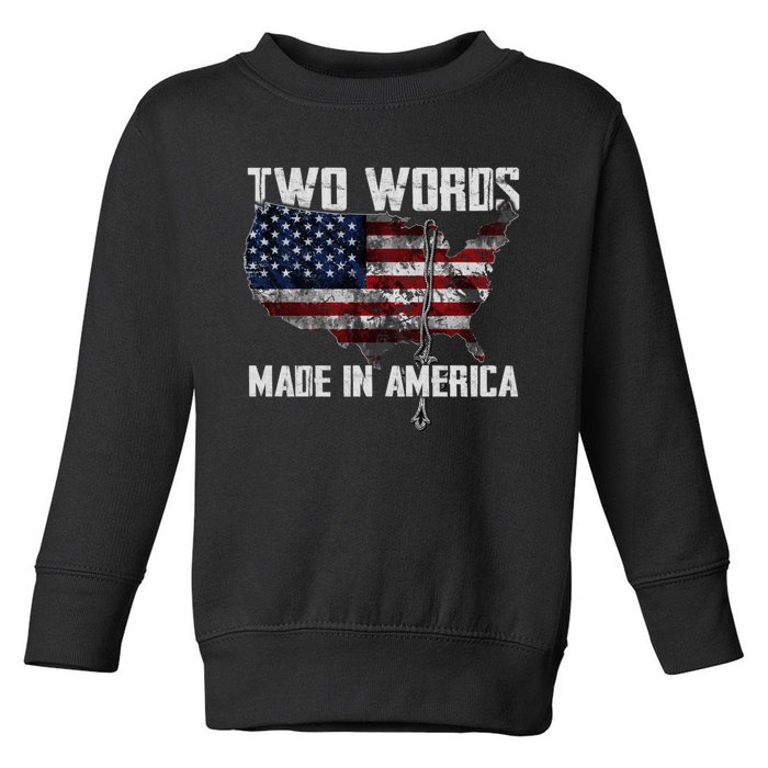 Two Words Made In America Joe Biden Vintage American US Flag Toddler Sweatshirt