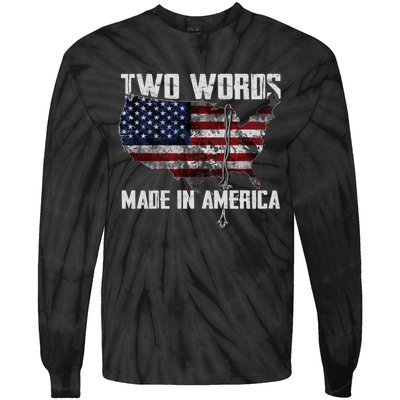 Two Words Made In America Joe Biden Vintage American US Flag Tie-Dye Long Sleeve Shirt