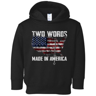 Two Words Made In America Joe Biden Vintage American US Flag Toddler Hoodie