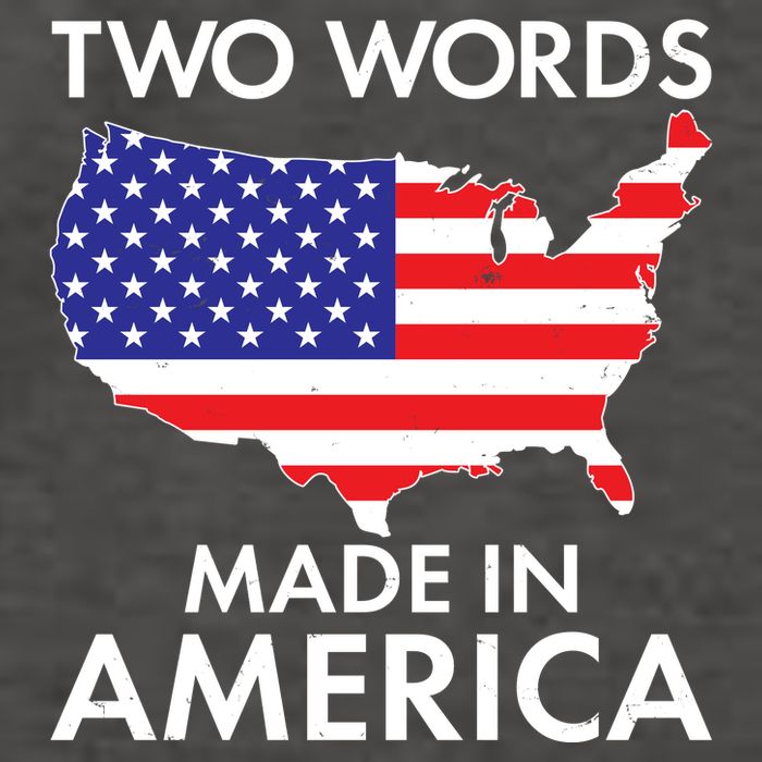 Two Words Made In America Vector Backpack
