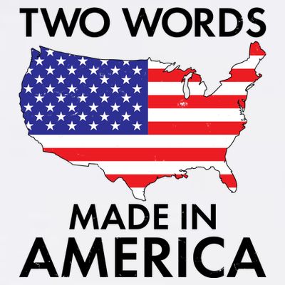 Two Words Made In America T-Shirt