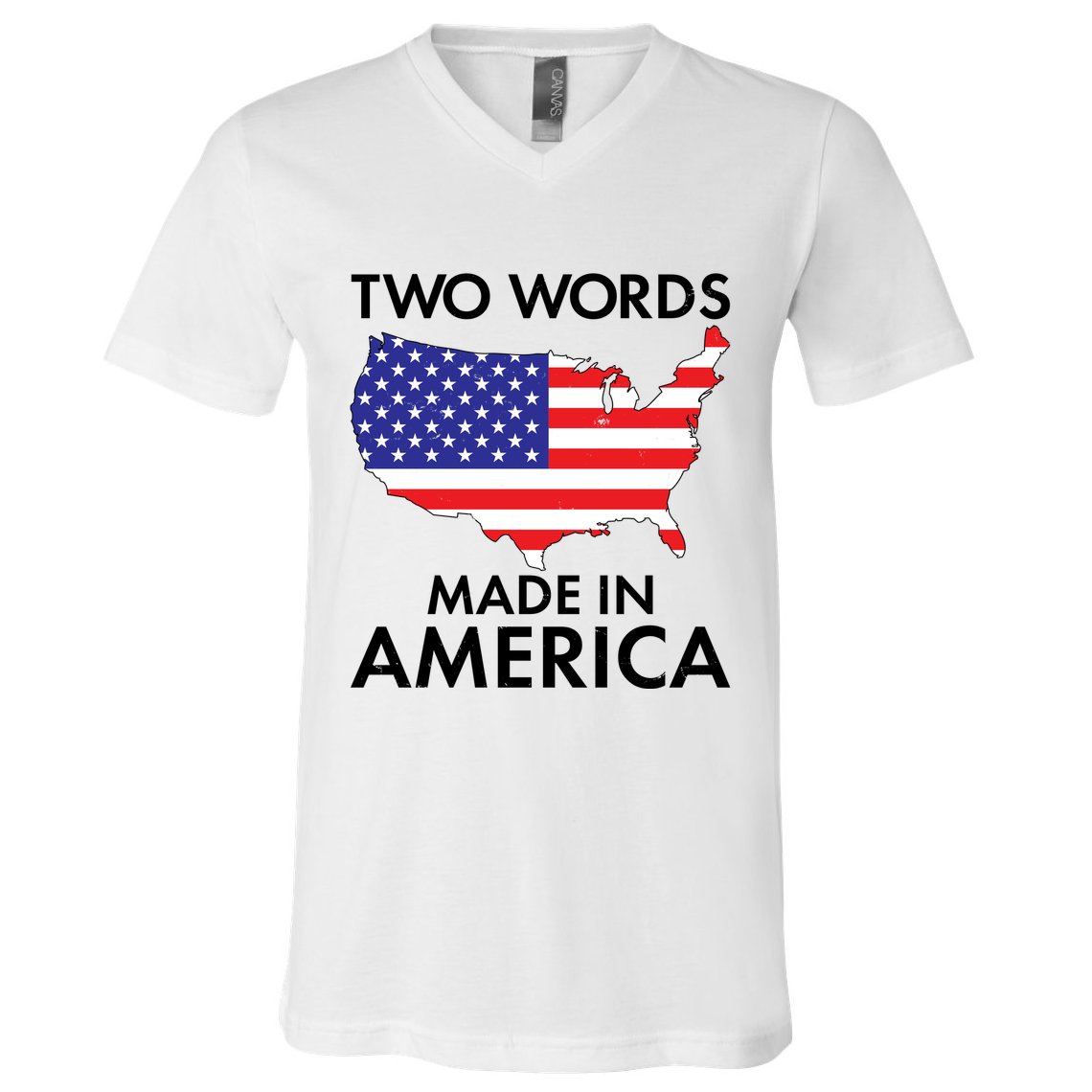 Two Words Made In America V-Neck T-Shirt