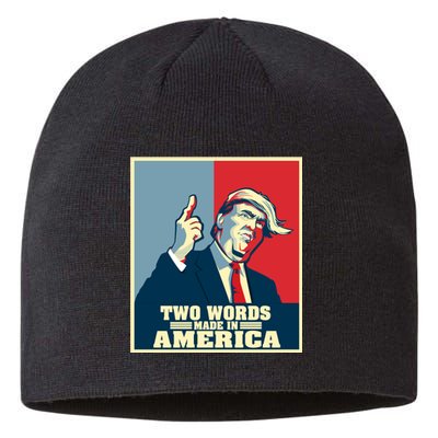 Two Words Made In America Sustainable Beanie