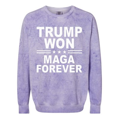 Trump Won Maga Forever Colorblast Crewneck Sweatshirt