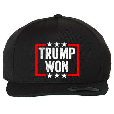 Trump Won ~ Pro Freedom ~ Anti Harris And Biden Protest Wool Snapback Cap