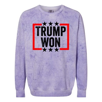 Trump Won ~ Pro Freedom ~ Anti Harris And Biden Protest Colorblast Crewneck Sweatshirt