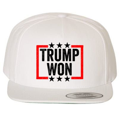 Trump Won ~ Pro Freedom ~ Anti Harris And Biden Protest Wool Snapback Cap