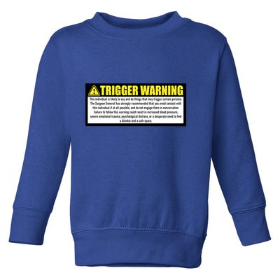 Trigger Warning Parody Warning Label For People Cool Gift Toddler Sweatshirt