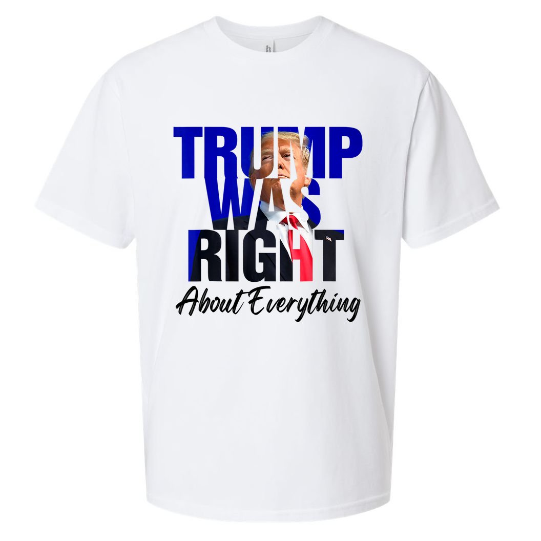Trump Was Right About Everything Funny Political Sueded Cloud Jersey T-Shirt