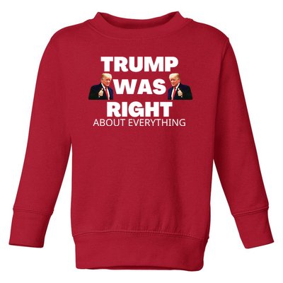 Trump Was Right About Everything Toddler Sweatshirt