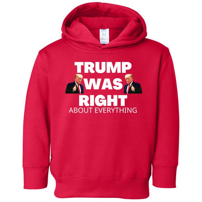 Trump Was Right About Everything Toddler Hoodie