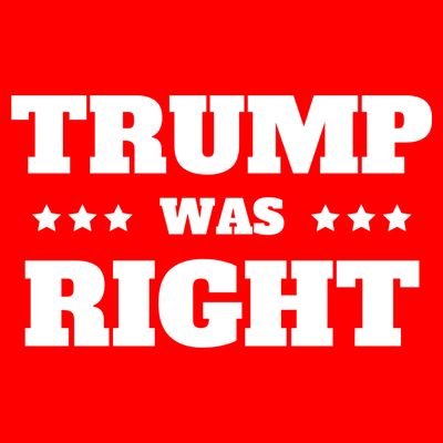 Trump Was Right Star T-Shirt