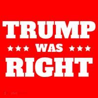 Trump Was Right Star Kids T-Shirt
