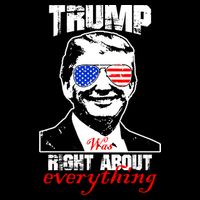 Trump Was Right About Everything Sunglasses USA Baby Bodysuit