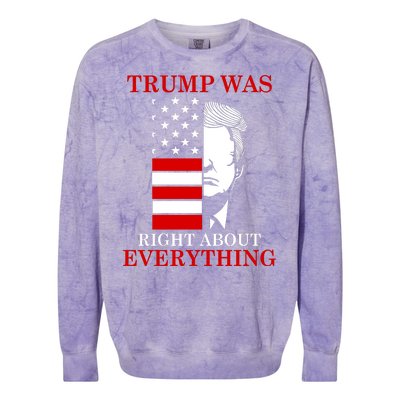 Trump Was Right About Everything USA Flag Colorblast Crewneck Sweatshirt