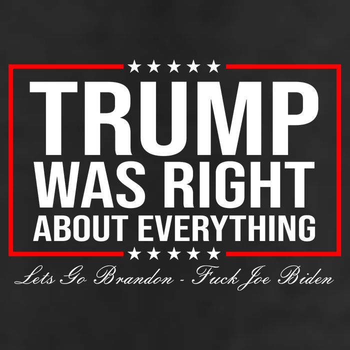 Trump Was Right About Everything LGBFJB LGB FJB Adult Drive Performance Visor