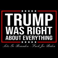 Trump Was Right About Everything LGBFJB LGB FJB Cropped Pullover Crew
