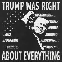 Trump Was Right About Everything American Flag 45 47 7 Panel Mesh Trucker Snapback Hat