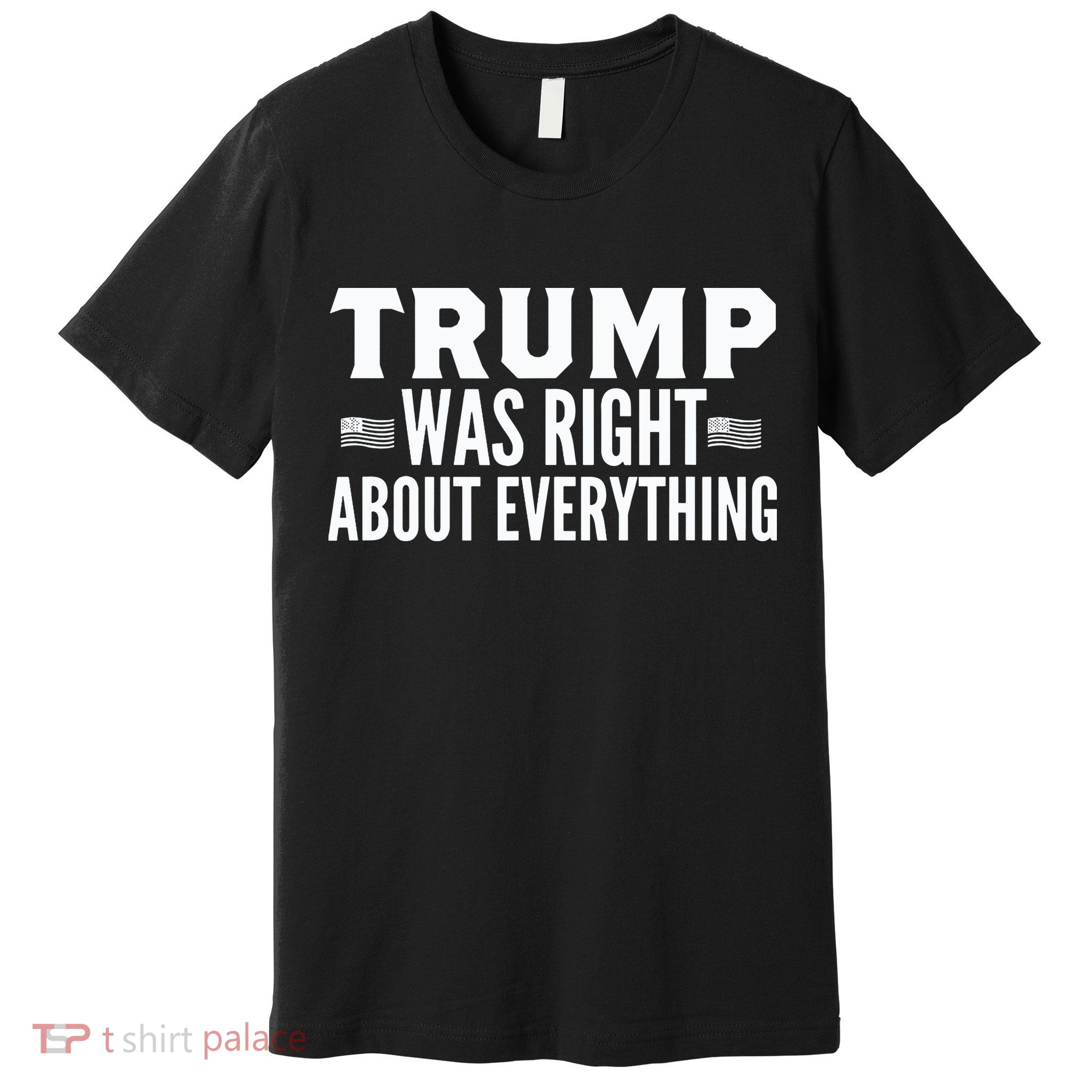 Trump Was Right About Everything Rally Premium T-Shirt