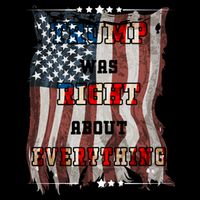 Trump Was Right About Everything USA Flag T-Shirt