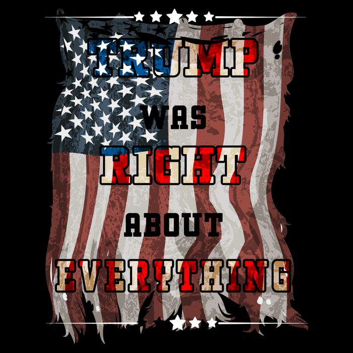 Trump Was Right About Everything USA Flag T-Shirt