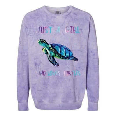 Turtle Watercolor Sea Ocean Just A Girl Who Loves Turtles Colorblast Crewneck Sweatshirt