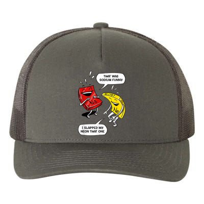 That Was Sodium Funny Geek Chemistry Science Joke Yupoong Adult 5-Panel Trucker Hat
