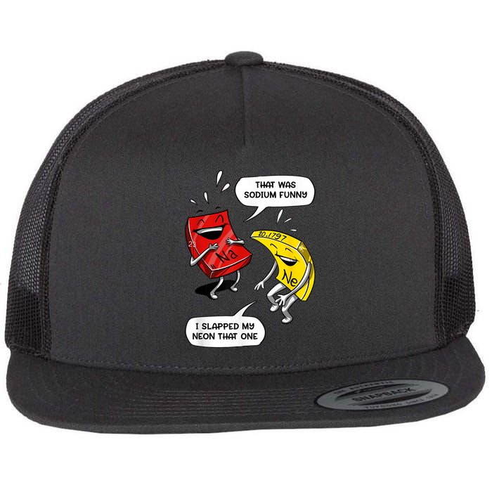 That Was Sodium Funny Geek Chemistry Science Joke Flatbill Hat