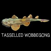 Tasselled Wobbegong Shark Lover 16 in Basic Backpack
