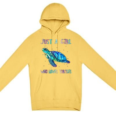 Turtle Watercolor Sea Ocean Just A Girl Who Loves Turtles Premium Pullover Hoodie