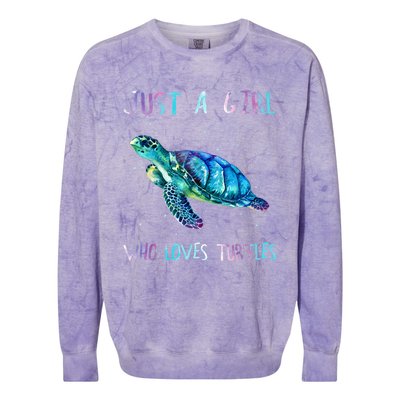 Turtle Watercolor Sea Ocean Just A Girl Who Loves Turtles Colorblast Crewneck Sweatshirt