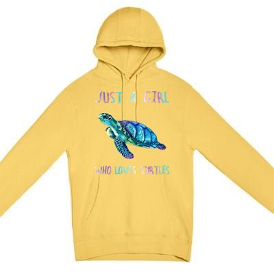 Turtle Watercolor Sea Ocean Just A Who Loves Turtles Gift Premium Pullover Hoodie