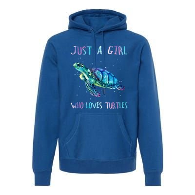 Turtle Watercolor Sea Ocean Just A Who Loves Turtles Gift Premium Hoodie