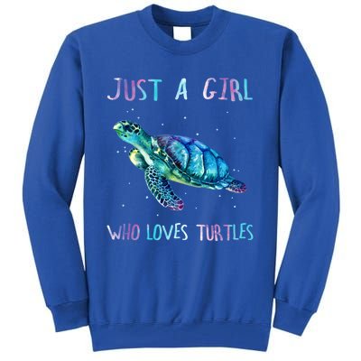 Turtle Watercolor Sea Ocean Just A Who Loves Turtles Gift Tall Sweatshirt