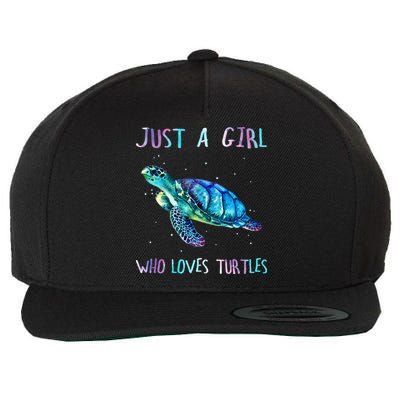 Turtle Watercolor Sea Ocean Just A Who Loves Turtles Wool Snapback Cap