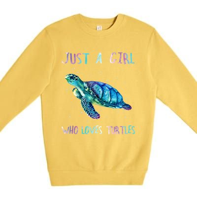 Turtle Watercolor Sea Ocean Just A Who Loves Turtles Gift Premium Crewneck Sweatshirt