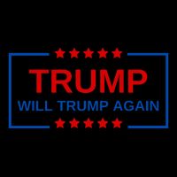 Trump Will Trump Again 16 in Basic Backpack
