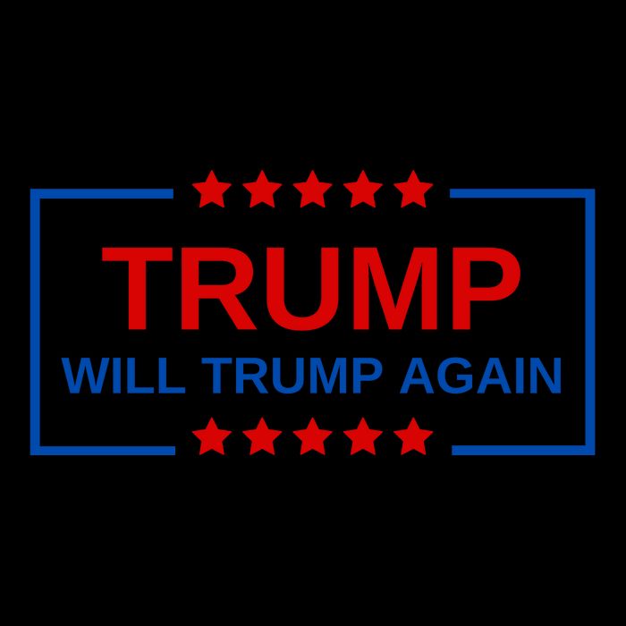 Trump Will Trump Again 16 in Basic Backpack