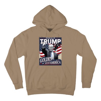 Trump Wins The Election Celebrating Golden Age Of America Hoodie