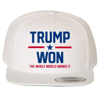 Trump Won The Whole World Knows It Wool Snapback Cap