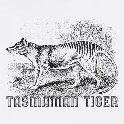 Tasmanian Wolf Tiger Thylacine Australian Extinction Gift T-Shirt