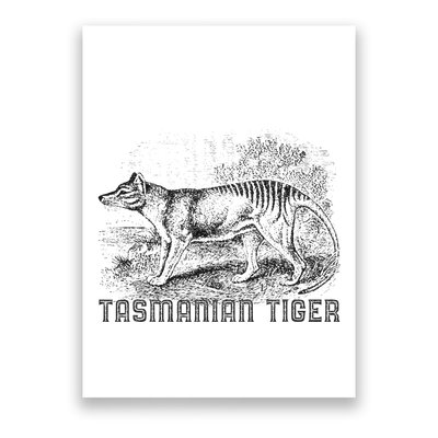 Tasmanian Wolf Tiger Thylacine Australian Extinction Gift Poster