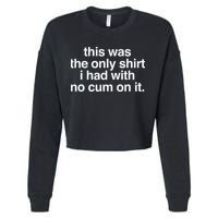 This Was The Only I Had With No Cum On It Cropped Pullover Crew