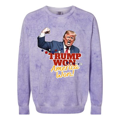 Trump Won Trump Won Again 2024 Election President 47th Usa Colorblast Crewneck Sweatshirt