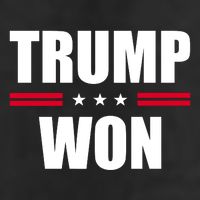 Trump Won 7 Panel Mesh Trucker Snapback Hat