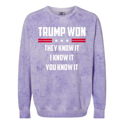 Trump Won They Know It I Know It You Know It Colorblast Crewneck Sweatshirt