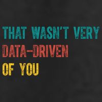 That Wasn’T Very Data Driven Of You Garment-Dyed Heavyweight T-Shirt