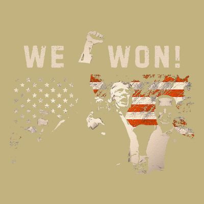Trump We Won Wins Inauguration 47th Us President Election T-Shirt