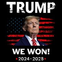 Trump We Won 2024 2028 Wool Snapback Cap